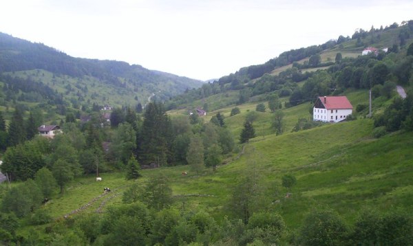 Vosges Mountains - Photo Credit: Wikipedia.org