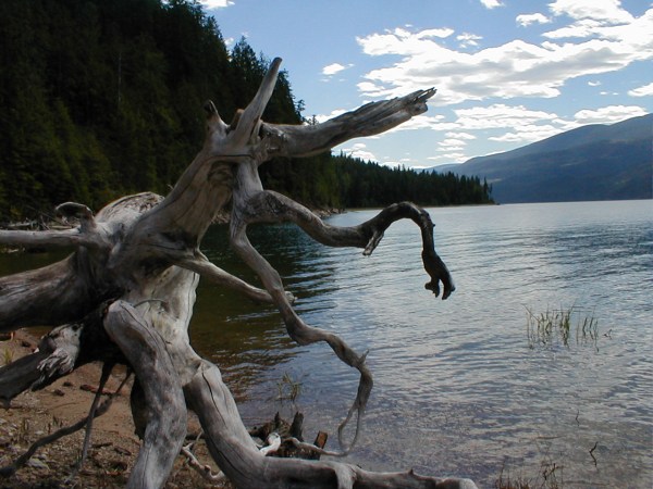The Arrow Lake that attracted Like-Minded People on Applegrove Road