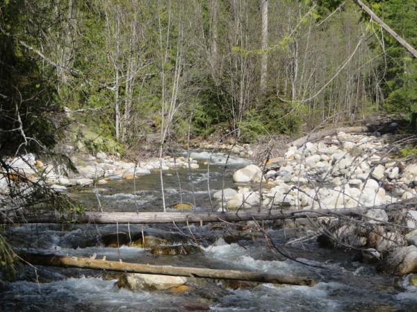 Wild Wilderness at its Best