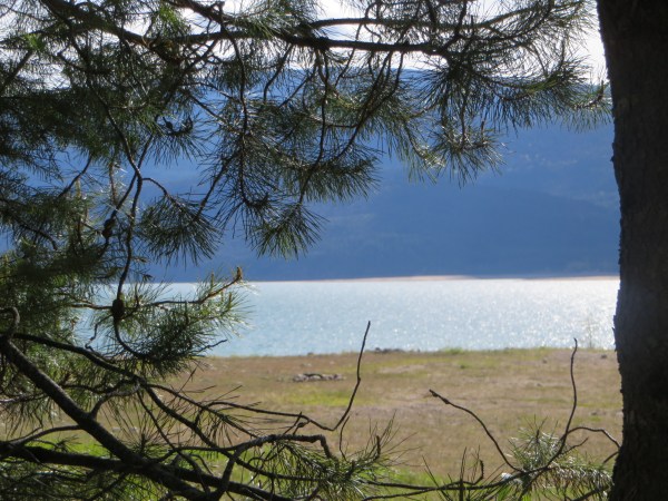 View onto the Lake at Taite Creek Campground