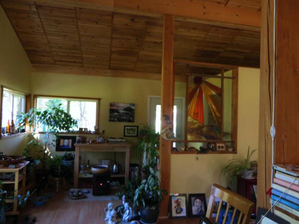 Mini Kitchen and Room for Plants