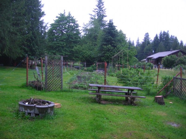 The very first Picture of our Garden taken by the Webcam last Night