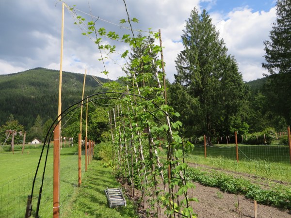 Within less than four Weeks they are at the Top