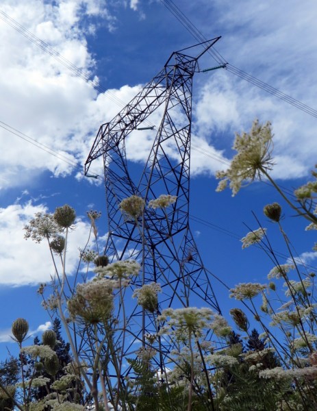 Low Shot of one of the Majestic Power Structures