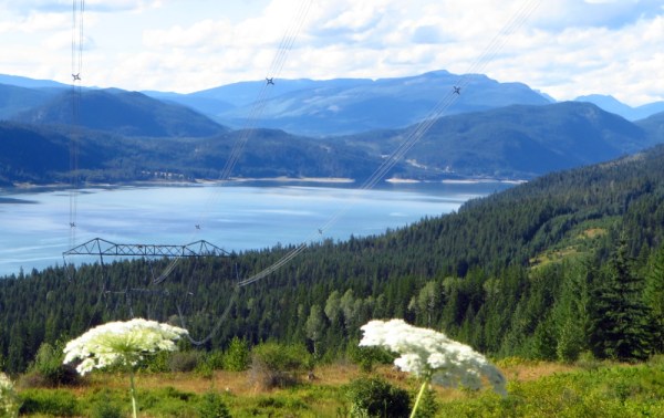 View from Halfway up the Power Line Road