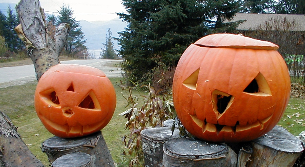 The bright orange pumpkins announce that Halloween is not very far.