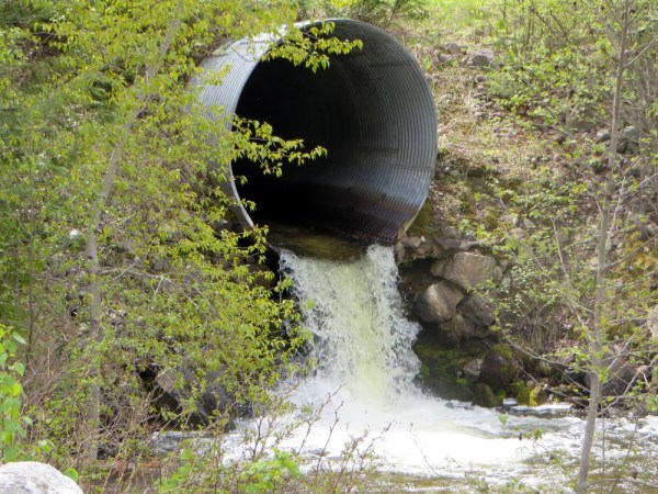 Insurmountable Barrier for Spawning Fish 2014