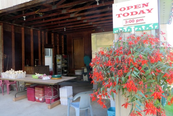 Dan and Jan's Buying Station in Nakusp