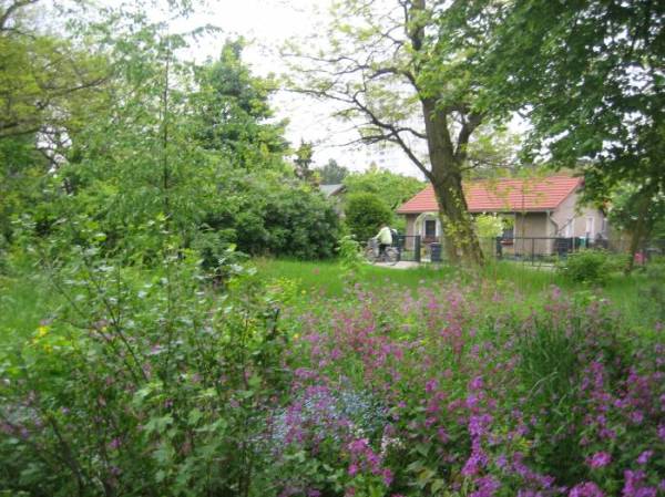 Garden Region near the Spree