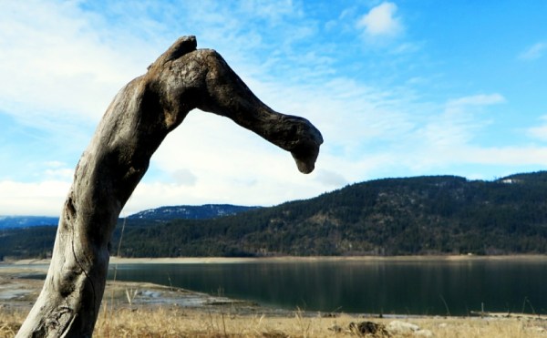 Wooden sentinel keeping a watchful eye the Arrow Lake