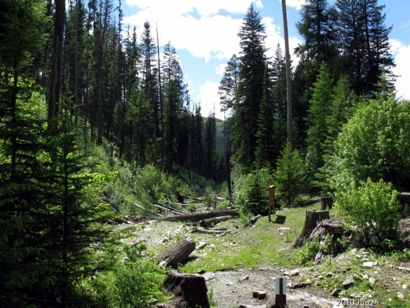 Lambert Creek WA seahorsecorral.org