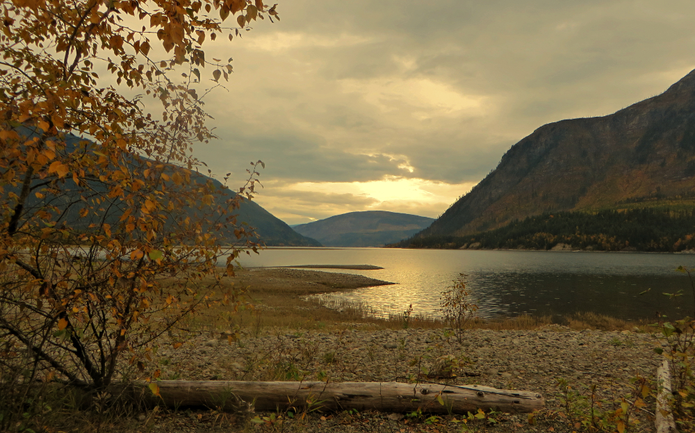 Autumnal Twilight WordPress