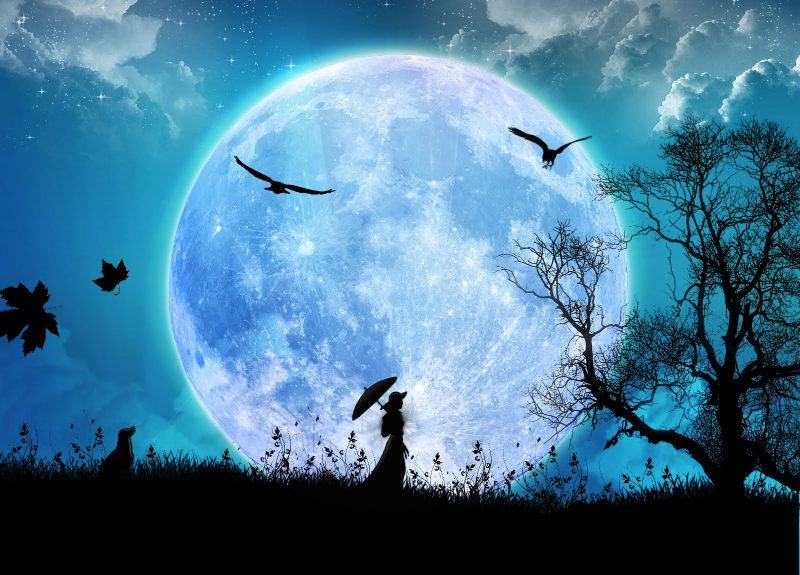 The Dream Word of Bienes Stories