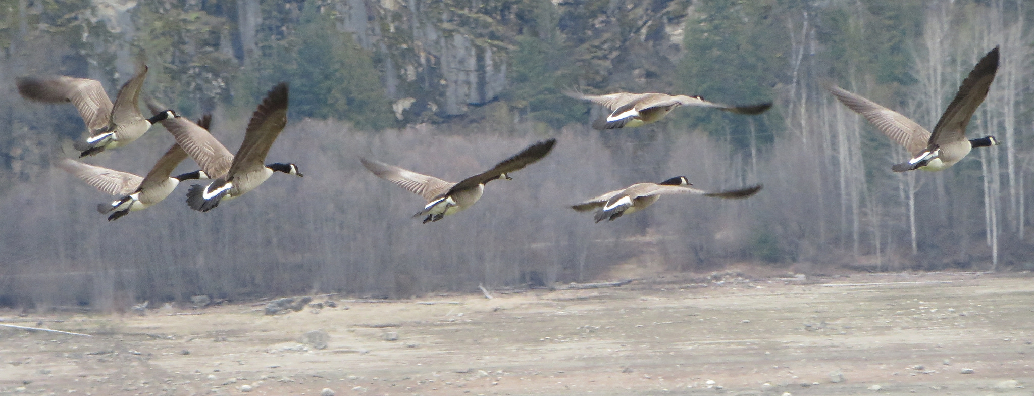 16363310304_c2622d93ae_k