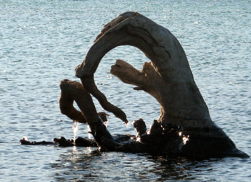 24015738131_396060a5eb_o