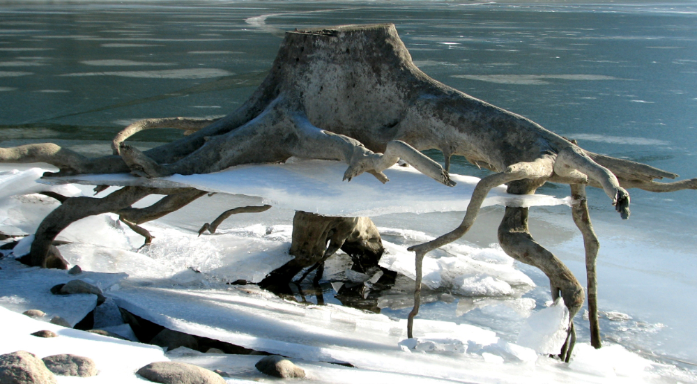 32153749375_1c1c5767c2_o