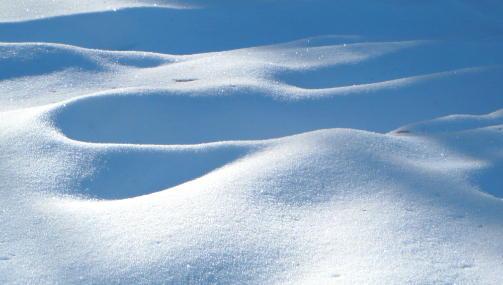 32687435570_a009d373cc_o