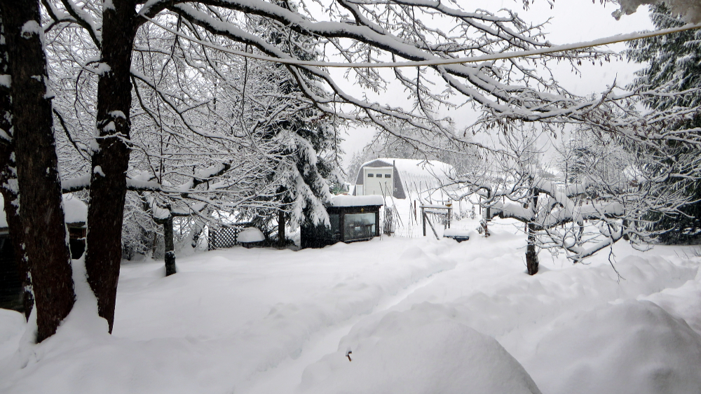 Backyard Accumulations