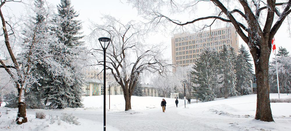 The University of Calgary campus in the winter of 2015.