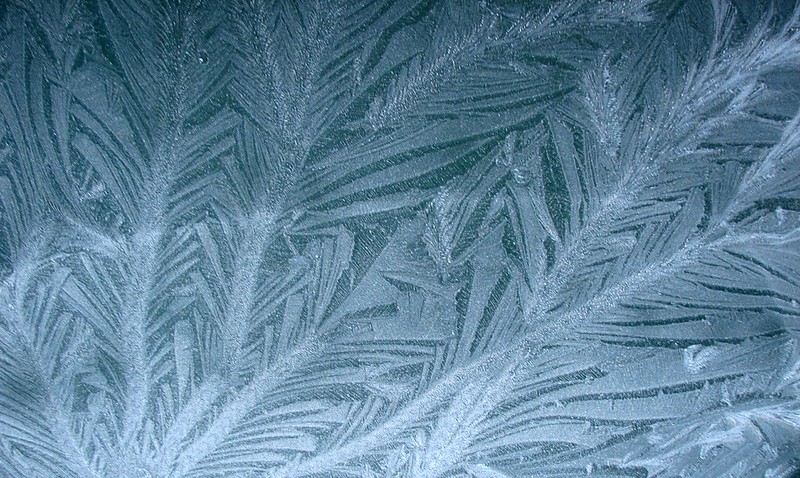 22525489873_448c6d17e0_c